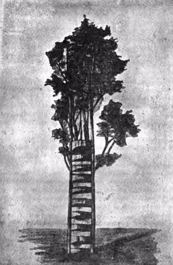 Rehue, Mapuche ceremonial tree