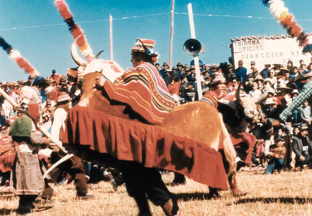 Waka Waka dancers at the Compi Festival (120)