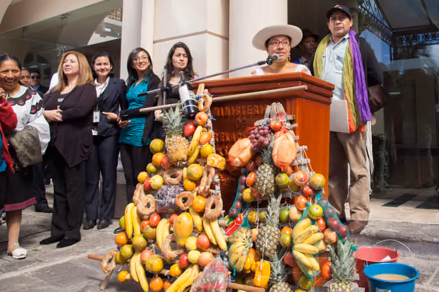 Celebración del Inti Raymi en Quito (2014)