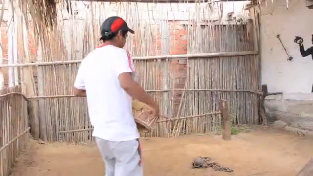 Stools and jawbone (video from the Museo Afroperuano de Zaña)