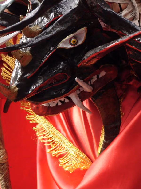 Diablada de Píllaro, photograph 009 (6 January 2007)