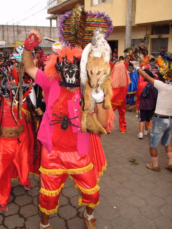 Diablada de Píllaro, photo 0701-146