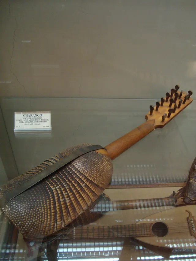 Old charango made of armadillo