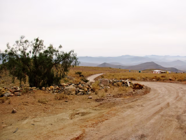 Trafkintu at the Rodeo Viejo community, Combarbalá (2016)