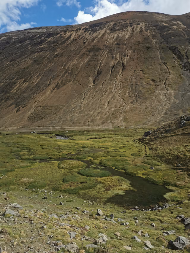 Sinakara bofedales on the Qoylluriti road