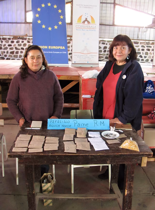Trafkintü in Combarbalá (Coquimbo, 2016), image 33
