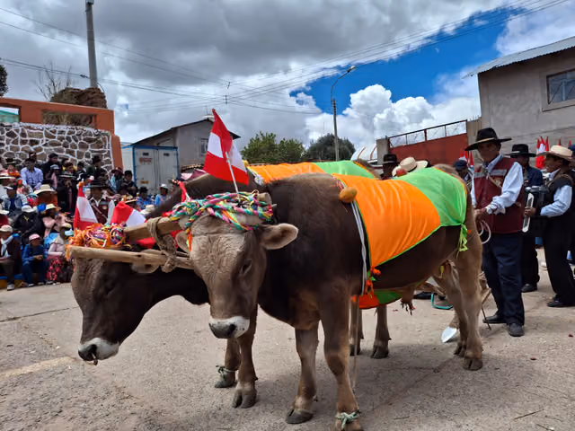 Festividad de la Virgen de la Inmaculada Concepción en Paucarcolla, Puno, foto 78