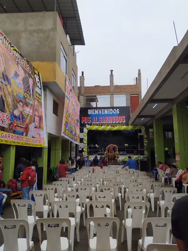 Welcome to the festival