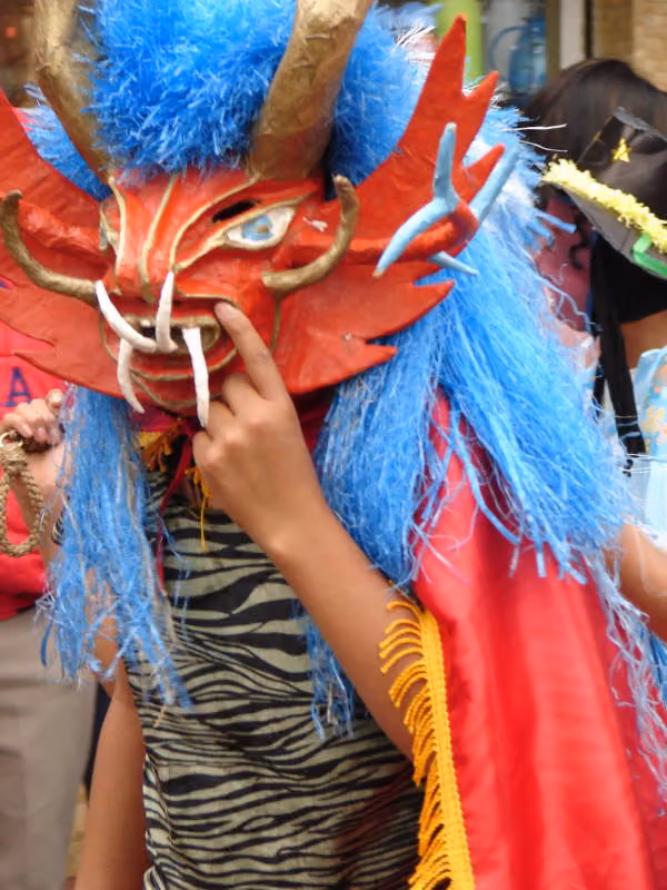 Diablada de Píllaro, photograph 002 (6 January 2007)