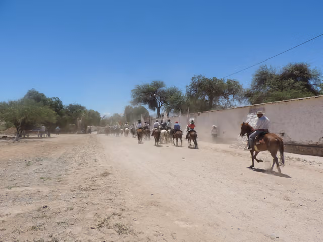 Patron festival of the Virgin of Candelaria in Molinos (Salta), 21