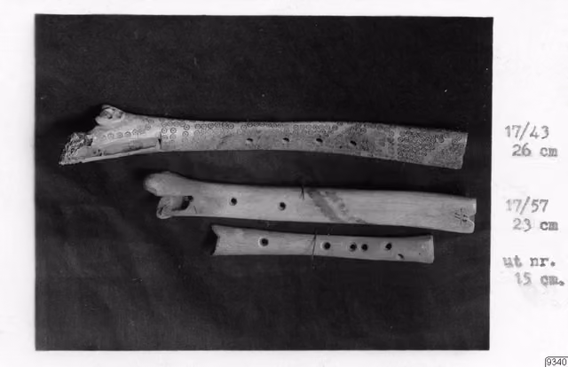 Bone flute (photograph, Peru)