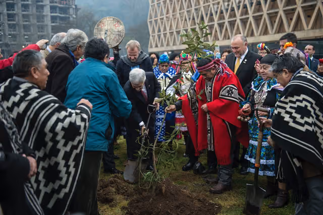 President Piñera at a Mapuche ceremony