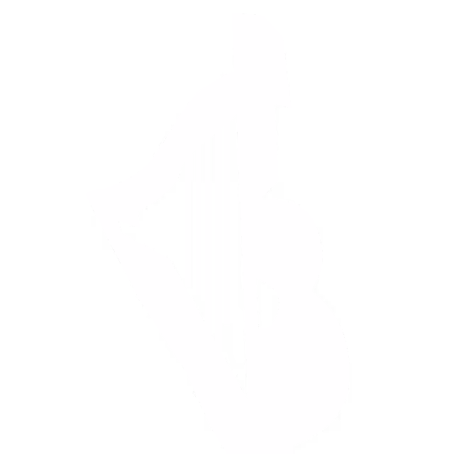Guitarpín icon, award of the Festival del Huaso de Olmué
