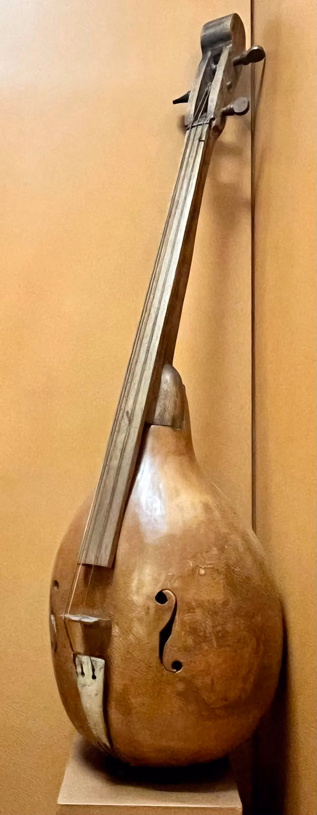 Violonchelo de calabazo