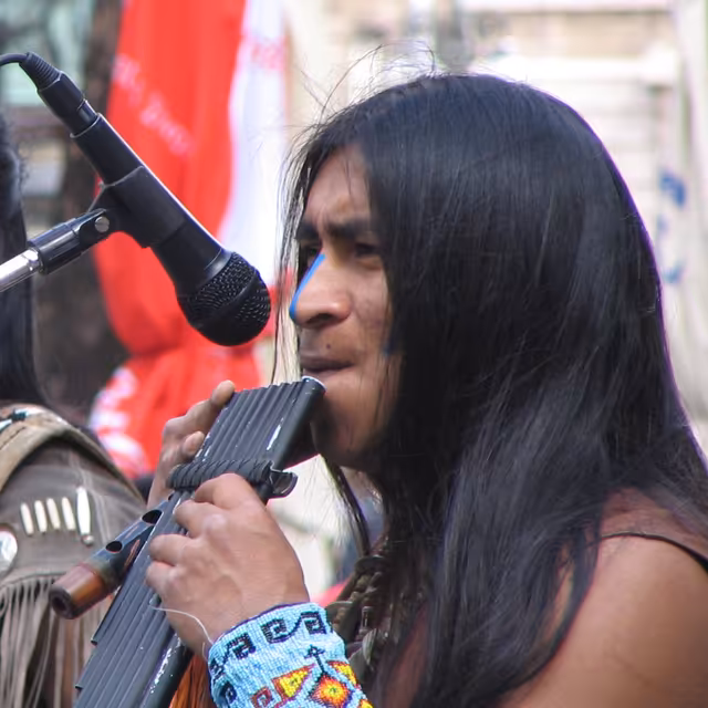 Latin American pan flute
