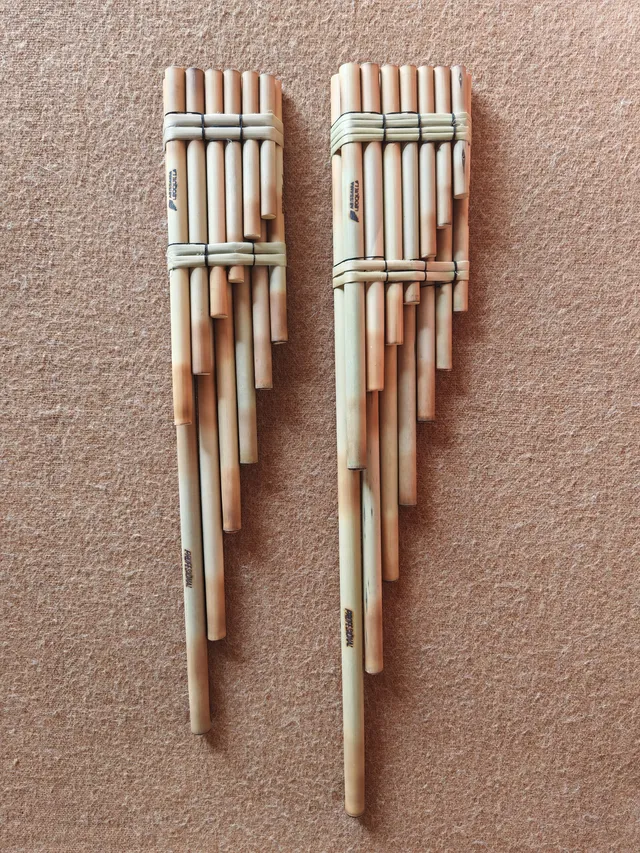 Siku sanqa variety: Ira and Arka pair