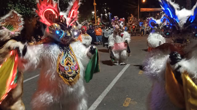 Diablada: bear