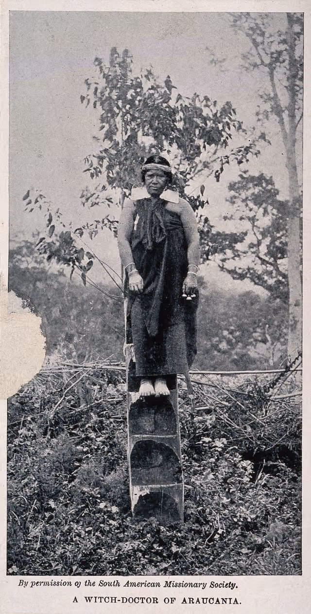 Shaman or medicine woman of Araucanía