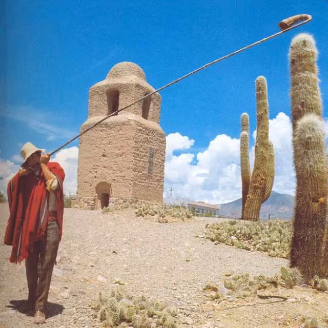 Erke, Noroeste Argentino
