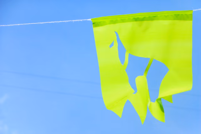 Banderín boliviano
