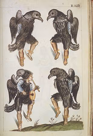 Danza de los gallinazos