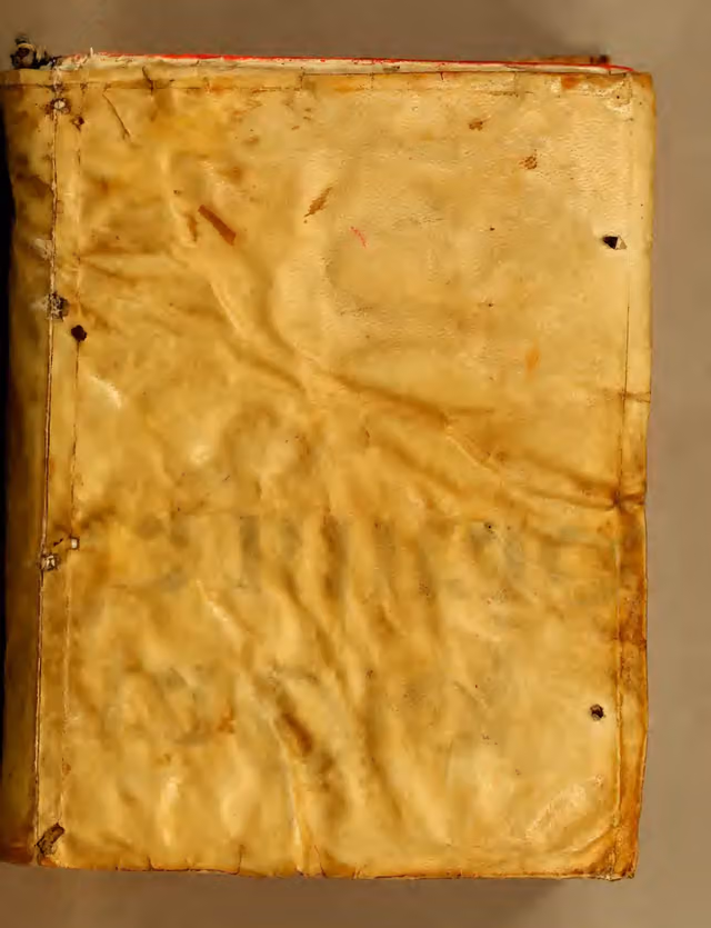 Sermón del glorioso mártir San Ianuario, patrón de Arequipa (1655)
