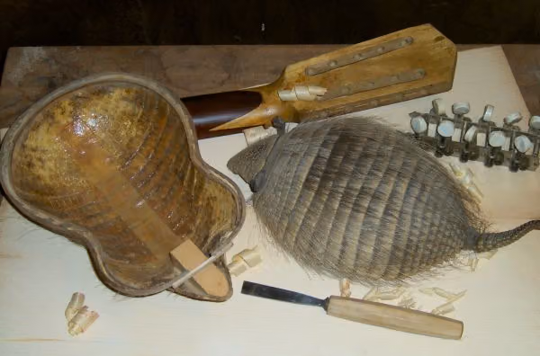 Charango made from armadillo (tatu) 001