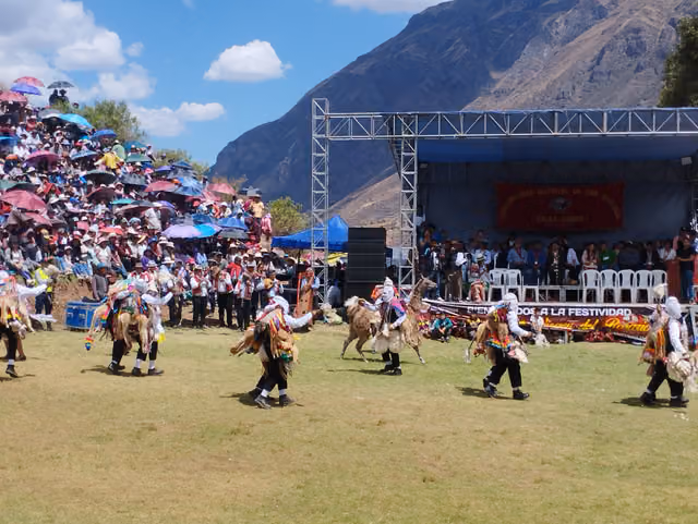 Virgen del Rosario festivity, Cusco (39): Qhapaq Qolla dance