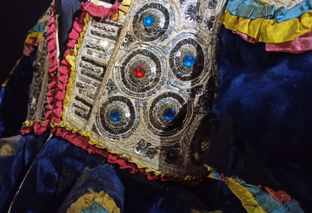 Detail of the embroidered jacket of the Jacha Tata Danzante, MUSEF (La Paz)