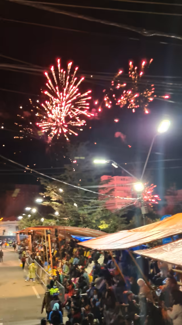 Oruro Carnival (25)