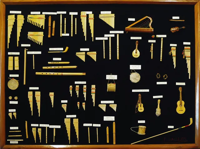 Andean instruments