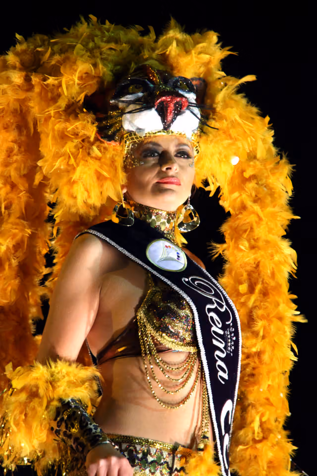 Ambato Carnival (image 071)