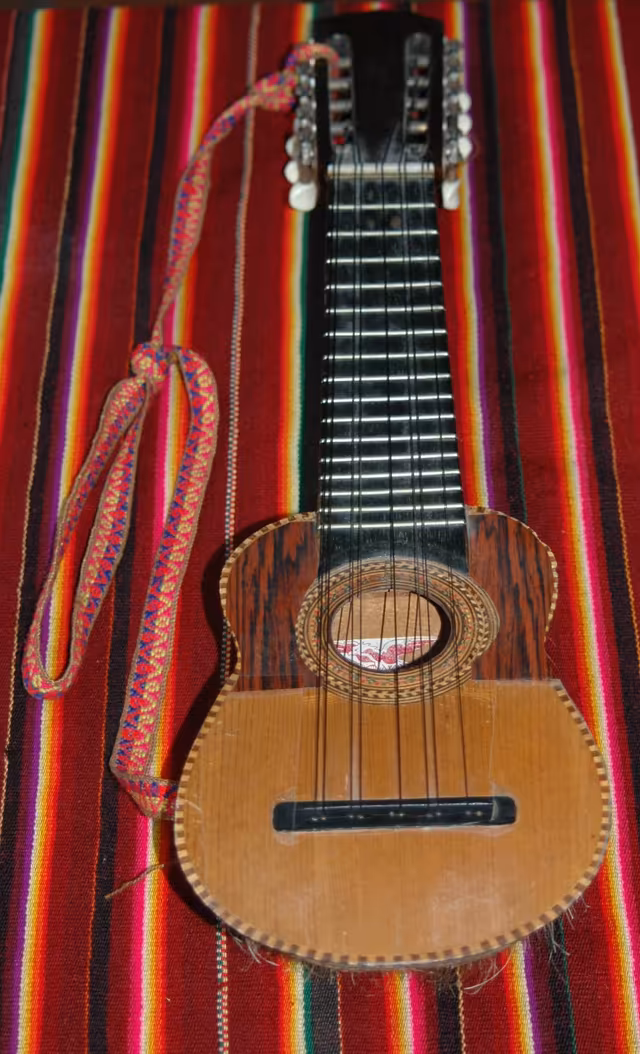 Charango made from an armadillo shell, front view