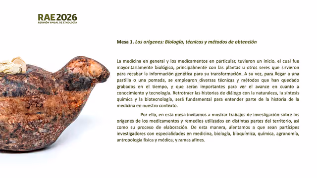 MUSEF (Bolivia) image 3