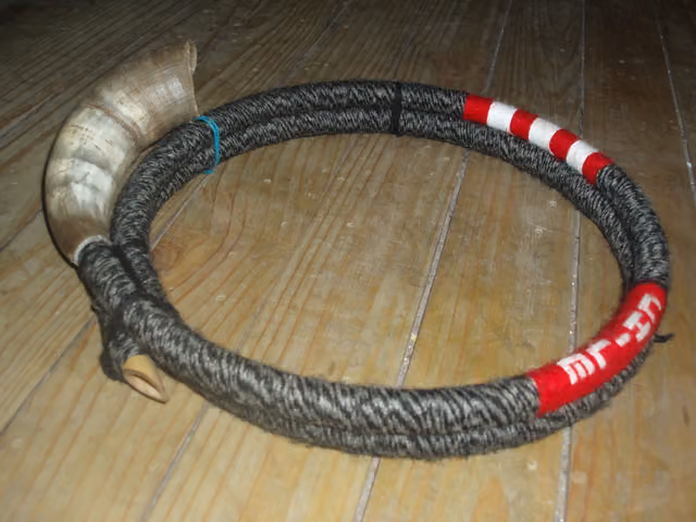 Trutruka mapuche (instrumento)
