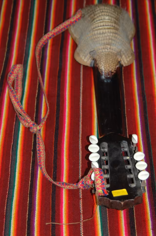 Charango de caparazón de armadillo, vista trasera y frontal