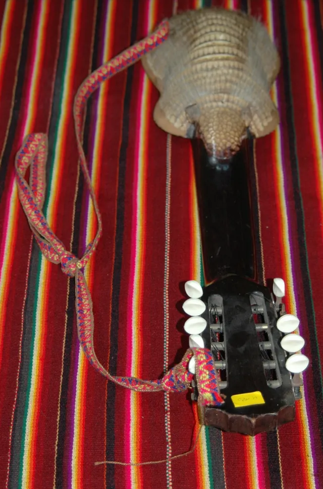 Armadillo-shell charango, back side and front view