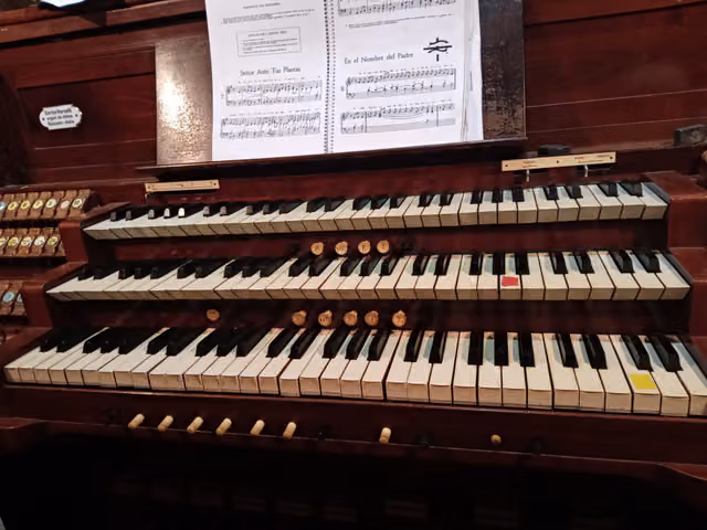Órgano de la catedral de San José (Gualeguaychú)