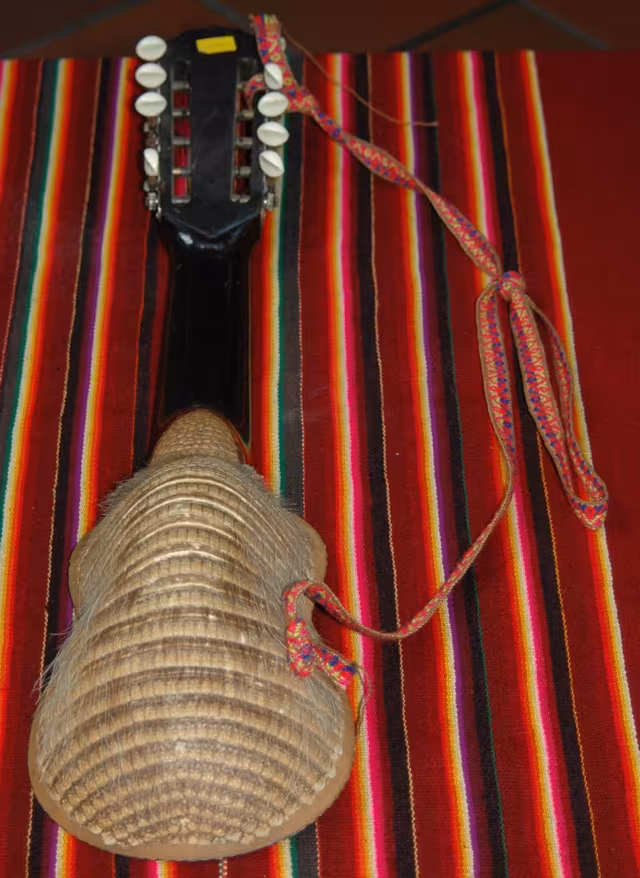 Armadillo-shell charango, back view