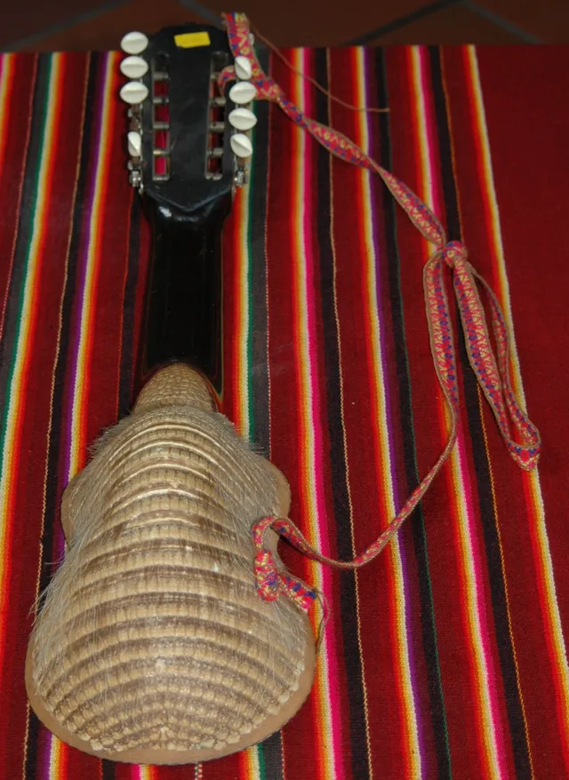 Armadillo-shell charango, back view