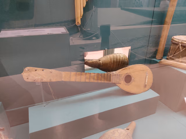 Instrumento musical, Museo de La Plata (MLP 6)