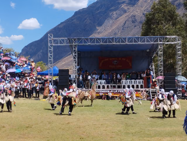 Festividad de la Virgen del Rosario, Cusco (40): danza Qhapaq Qolla