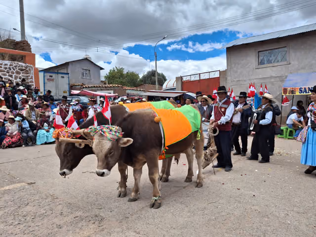 Feast of the Virgin of the Immaculate Conception in Paucarcolla, Puno, photo 80