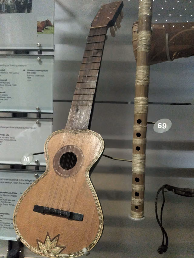 Musical instruments at the Horniman Museum: charangos