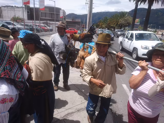 Bailarines con la «Rama de Gallo»