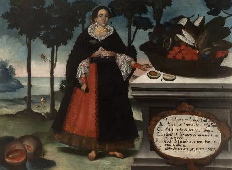 India con traje de gala, cuadro de Vicente Albán (1783)