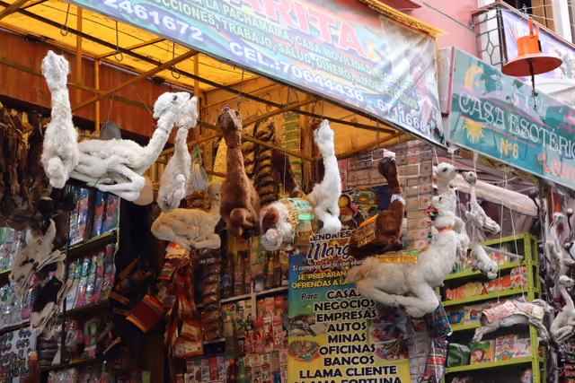 Dried llama foetuses