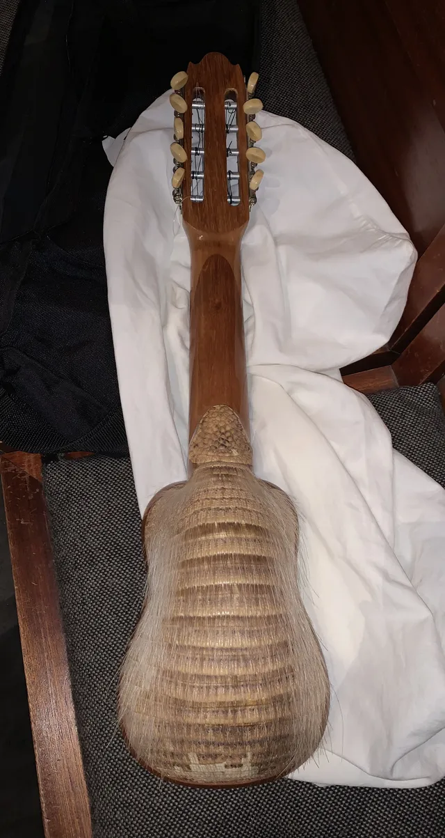 Charango con cuerpo de armadillo