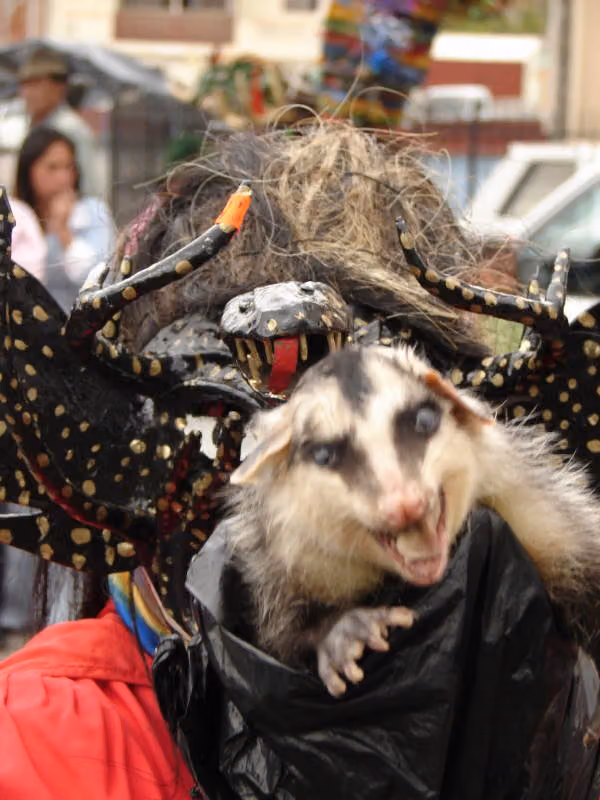 Diablada de Píllaro, fotografía 050