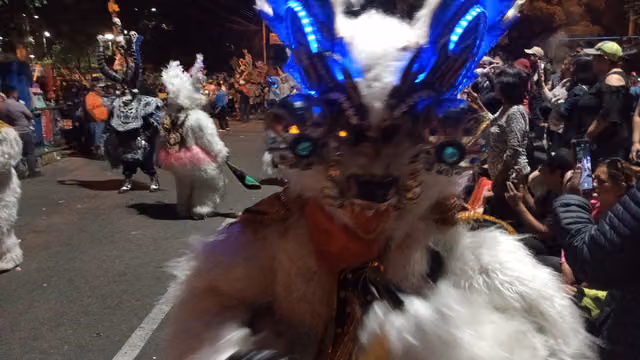 Diablada: bear close-up